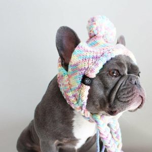 Knit Pom Pom Dog Beanie Hat – Pastel Icing | Spark Paws Dog Hats and Accessories Dog Hats & Accessories Dog Hats & Accessories