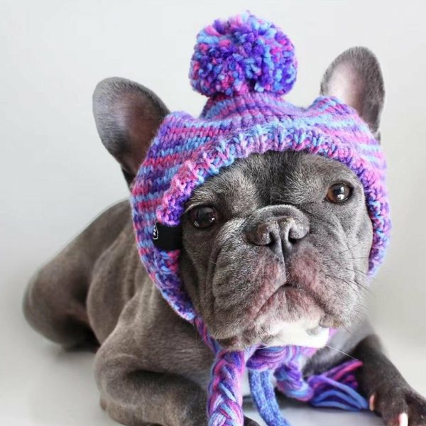 Knit Pom Pom Dog Beanie Hat – Purple & Lavender | Spark Paws Dog Hats and Accessories Dog Hats & Accessories Dog Hats & Accessories