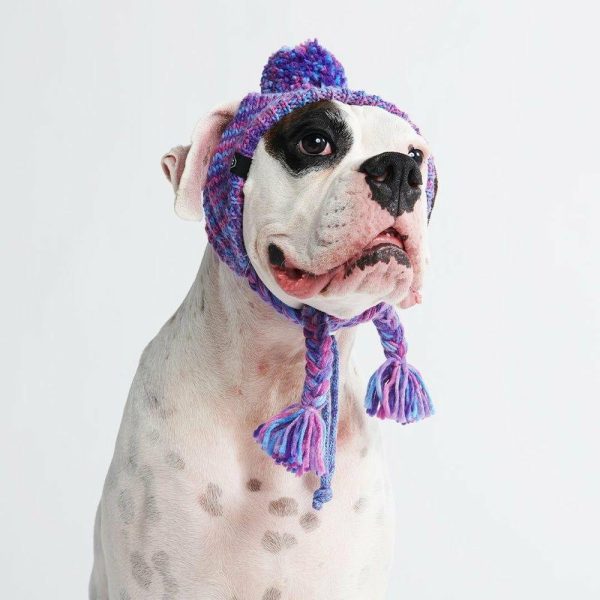 Knit Pom Pom Dog Beanie Hat – Purple & Lavender | Spark Paws Dog Hats and Accessories Dog Hats & Accessories Dog Hats & Accessories