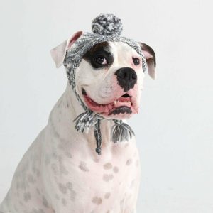 Knit Pom Pom Dog Beanie Hat – Salt and Pepper | Spark Paws Dog Hats and Accessories Dog Hats & Accessories Dog Hats & Accessories