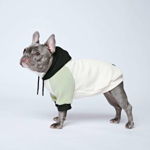 Olive Cream Dog Hoodie | Spark Paws Dog and Owner Matching Sets Dog & Owner Matching Sets Dog & Owner Matching Sets