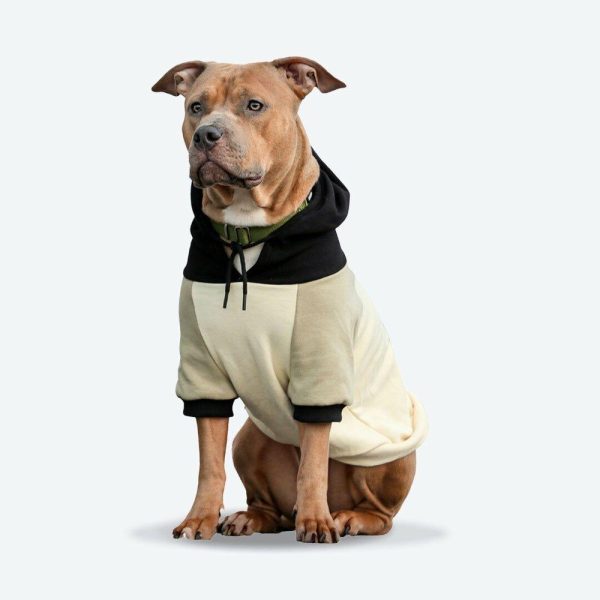 Olive Cream Dog Hoodie | Spark Paws Dog and Owner Matching Sets Dog & Owner Matching Sets Dog & Owner Matching Sets