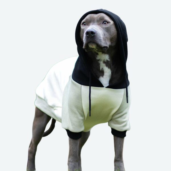 Olive Cream Dog Hoodie | Spark Paws Dog and Owner Matching Sets Dog & Owner Matching Sets Dog & Owner Matching Sets