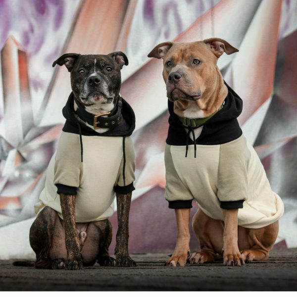 Olive Cream Dog Hoodie | Spark Paws Dog and Owner Matching Sets Dog & Owner Matching Sets Dog & Owner Matching Sets