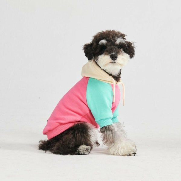 Pink Turquoise Cream Color Block Dog Hoodie | Spark Paws Dog Hoodies Dog & Owner Matching Sets Dog & Owner Matching Sets