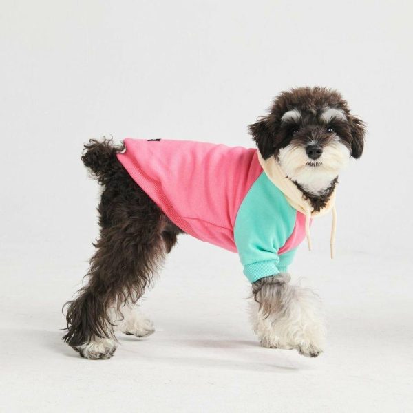 Pink Turquoise Cream Color Block Dog Hoodie | Spark Paws Dog Hoodies Dog & Owner Matching Sets Dog & Owner Matching Sets