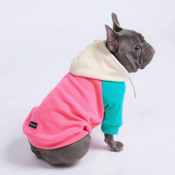 Pink Turquoise Cream Color Block Dog Hoodie | Spark Paws Dog Hoodies Dog & Owner Matching Sets Dog & Owner Matching Sets