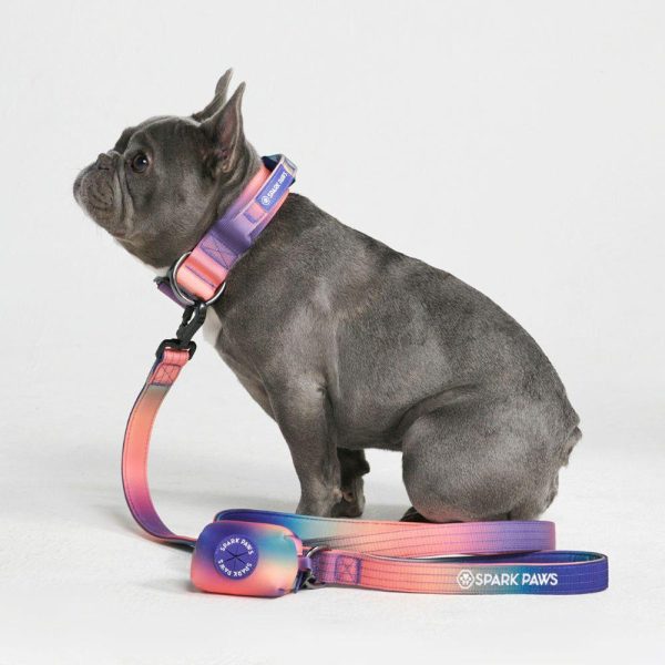 Poop Bag Holder- Kaleidoscope | Spark Paws Poop Bag Holder Kaleidoscope