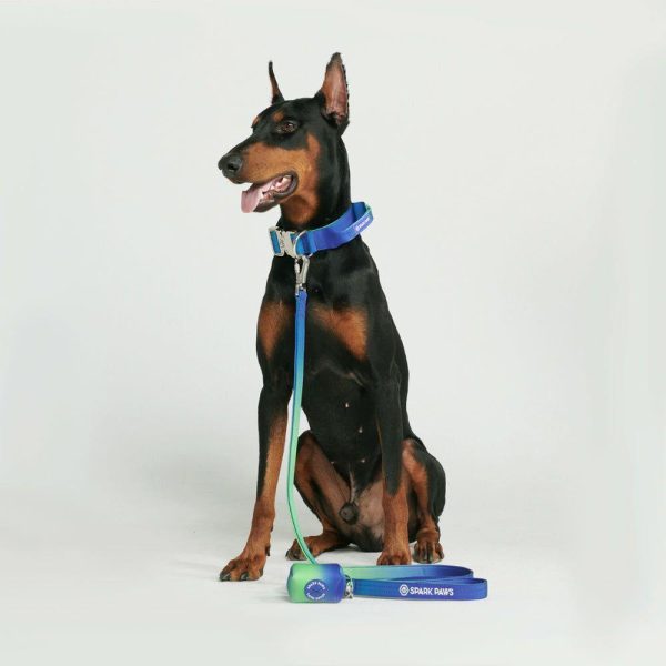 Poop Bag Holder- Lime Wave | Spark Paws Poop Bag Holder Poop Bag Holder Lime Wave