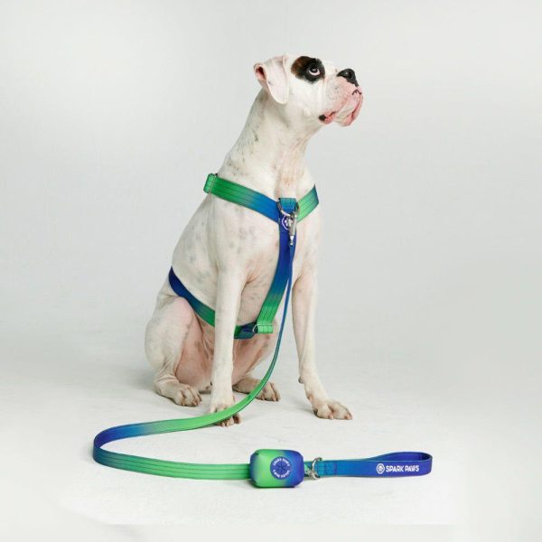 Poop Bag Holder- Lime Wave | Spark Paws Poop Bag Holder Poop Bag Holder Lime Wave