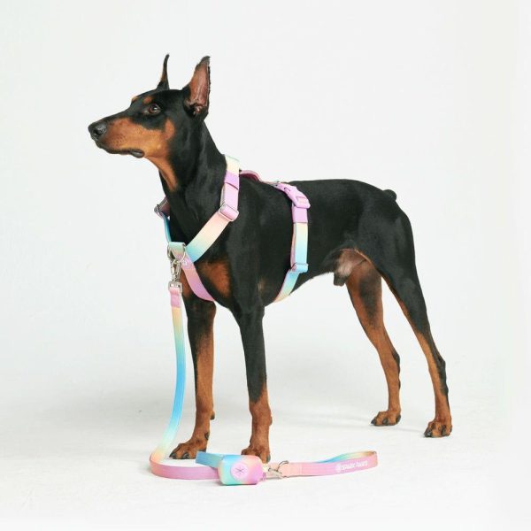 Poop Bag Holder- Pastel Icing | Spark Paws Poop Bag Holder Poop Bag Holder Pastel Icing