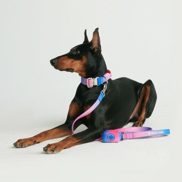 Poop Bag Holder- Snow Cone | Spark Paws Poop Bag Holder Poop Bag Holder Poop Bag Holder