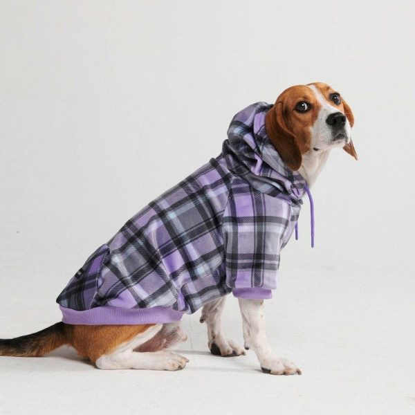 Purple Plaid Dog Hoodie | Spark Paws Dog and Owner Matching Sets Dog & Owner Matching Sets Dog & Owner Matching Sets