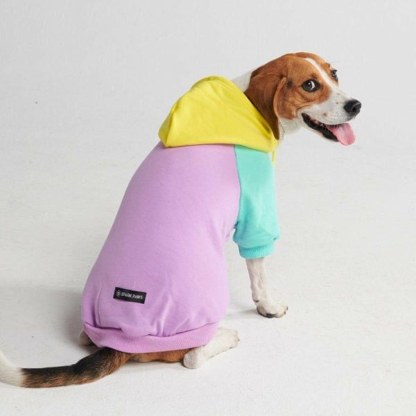 Purple Turquoise Yellow Dog Hoodie | Spark Paws Dog Hoodies Dog & Owner Matching Sets Dog & Owner Matching Sets