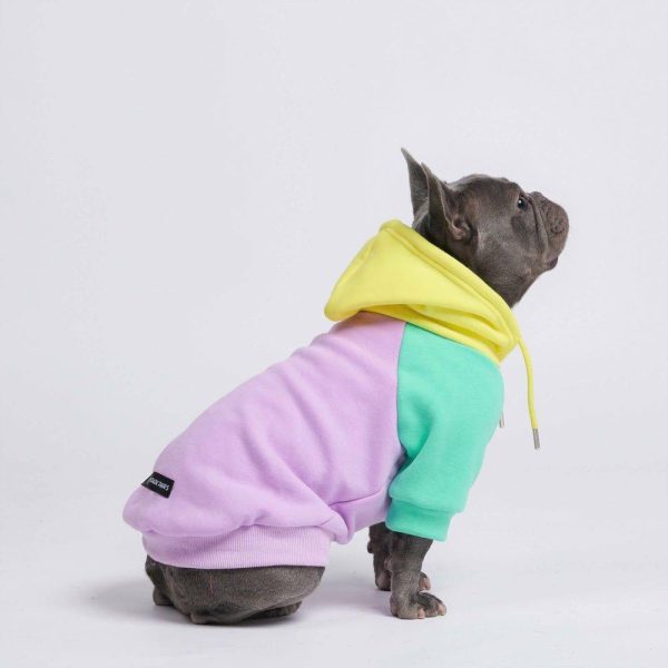 Purple Turquoise Yellow Dog Hoodie | Spark Paws Dog Hoodies Dog & Owner Matching Sets Dog & Owner Matching Sets