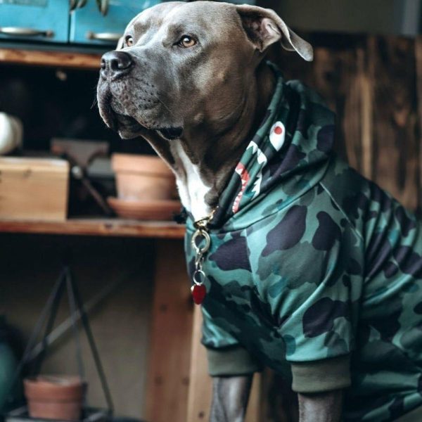 Shark Monster Dog Hoodie – Green Camo | Spark Paws Dog Hoodies Dog Hoodies Dog Hoodies