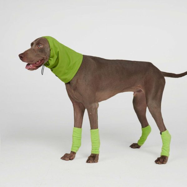 Stretchy Fleece Dog Leg Warmer Sleeves – Lime | Spark Paws Dog Hats and Accessories Dog Hats & Accessories