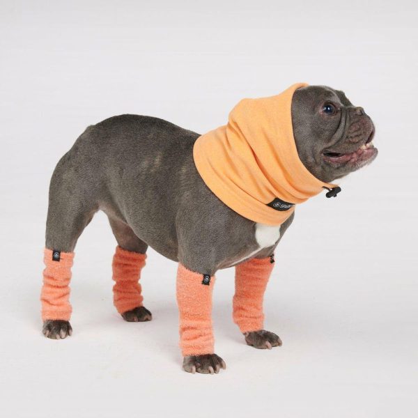 Stretchy Fleece Dog Leg Warmer Sleeves – Orange | Spark Paws Dog Hats and Accessories Dog Hats & Accessories Dog Hats & Accessories