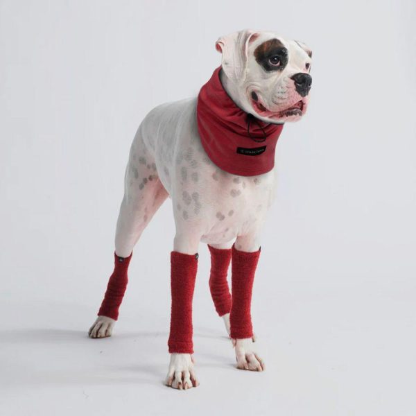 Stretchy Fleece Dog Leg Warmer Sleeves – Red | Spark Paws Dog Hats and Accessories Dog Hats & Accessories Dog Hats & Accessories