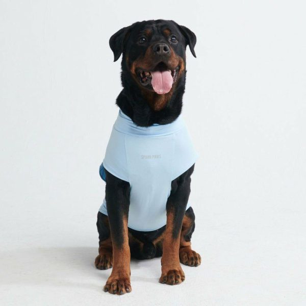 Sunblock Dog T-Shirt – Blue | Spark Paws Dog T-Shirts Dog T-Shirts Blue