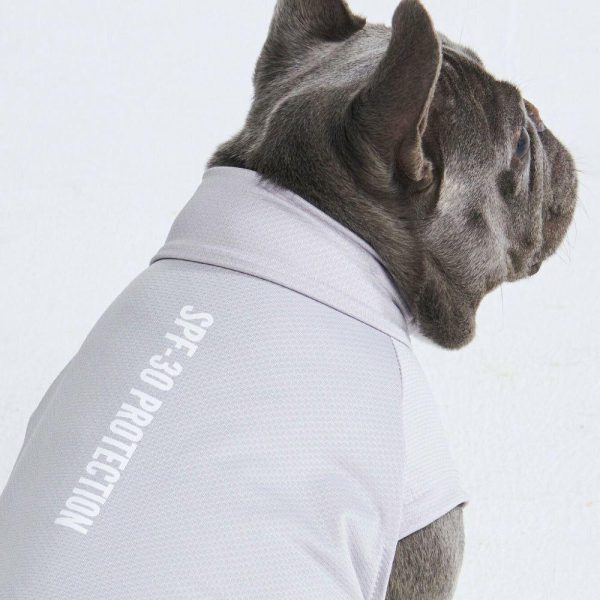 Sunblock Dog T-Shirt – Grey | Spark Paws Dog T-Shirts Dog T-Shirts Dog T-Shirts