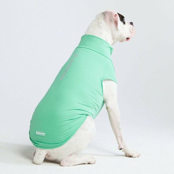 Sunblock Dog T-Shirt – Mint | Spark Paws Dog T-Shirts Dog T-Shirts Dog T-Shirts