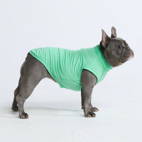 Sunblock Dog T-Shirt – Mint | Spark Paws Dog T-Shirts Dog T-Shirts Dog T-Shirts