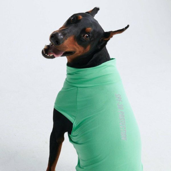 Sunblock Dog T-Shirt – Mint | Spark Paws Dog T-Shirts Dog T-Shirts Dog T-Shirts