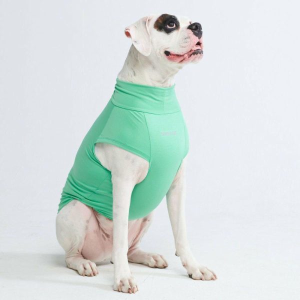 Sunblock Dog T-Shirt – Mint | Spark Paws Dog T-Shirts Dog T-Shirts Dog T-Shirts