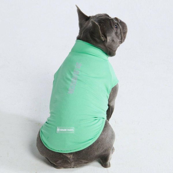 Sunblock Dog T-Shirt – Mint | Spark Paws Dog T-Shirts Dog T-Shirts Dog T-Shirts