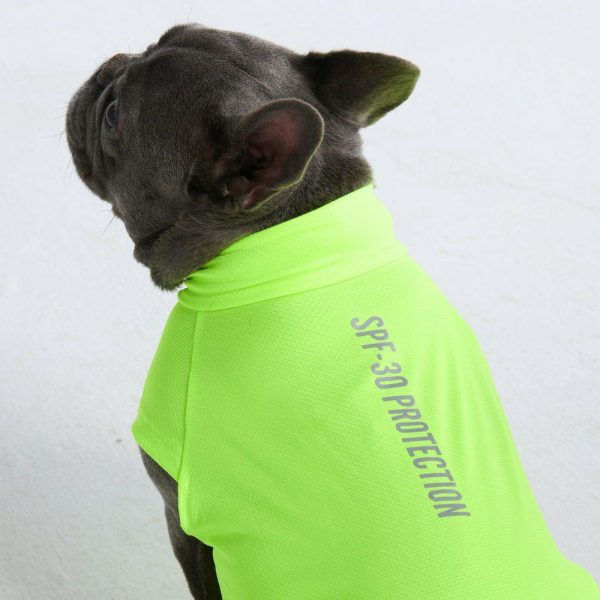 Sunblock Dog T-Shirt – Neon | Spark Paws Dog T-Shirts Dog T-Shirts Dog T-Shirts