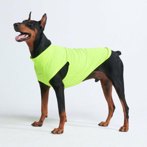 Sunblock Dog T-Shirt – Neon | Spark Paws Dog T-Shirts Dog T-Shirts Dog T-Shirts