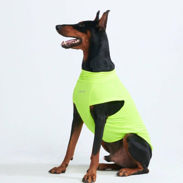 Sunblock Dog T-Shirt – Neon | Spark Paws Dog T-Shirts Dog T-Shirts Dog T-Shirts