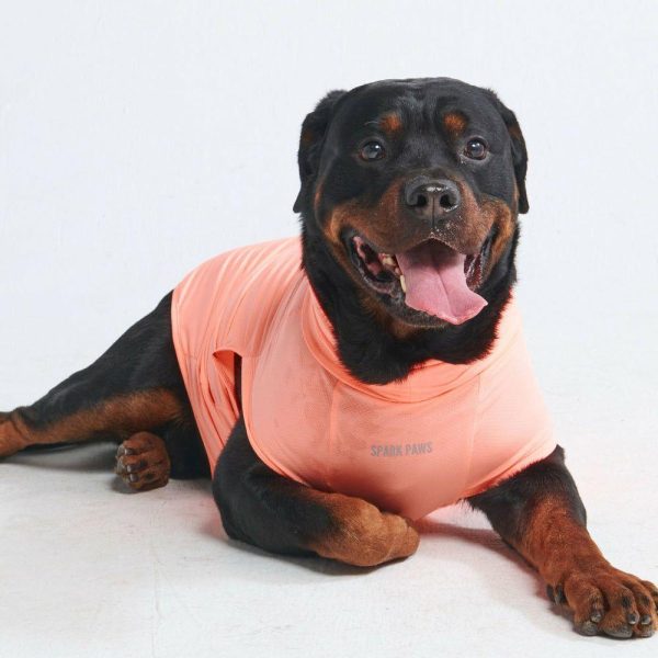 Sunblock Dog T-Shirt – Peach | Spark Paws Dog T-Shirts Dog T-Shirts Dog T-Shirts