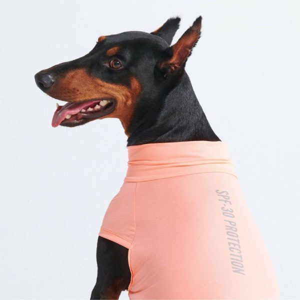 Sunblock Dog T-Shirt – Peach | Spark Paws Dog T-Shirts Dog T-Shirts Dog T-Shirts