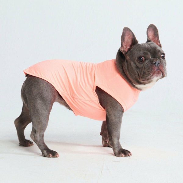 Sunblock Dog T-Shirt – Peach | Spark Paws Dog T-Shirts Dog T-Shirts Dog T-Shirts