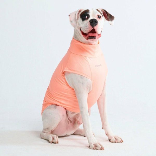 Sunblock Dog T-Shirt – Peach | Spark Paws Dog T-Shirts Dog T-Shirts Dog T-Shirts