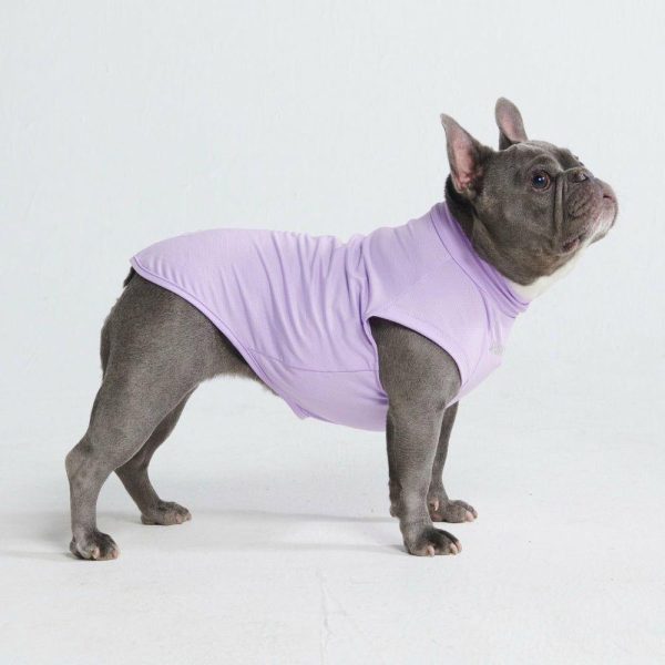 Sunblock Dog T-Shirt – Purple | Spark Paws Dog T-Shirts Dog T-Shirts Dog T-Shirts