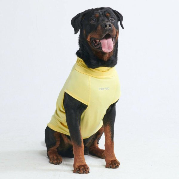 Sunblock Dog T-Shirt – Yellow | Spark Paws Dog T-Shirts Wear Dog T-Shirts