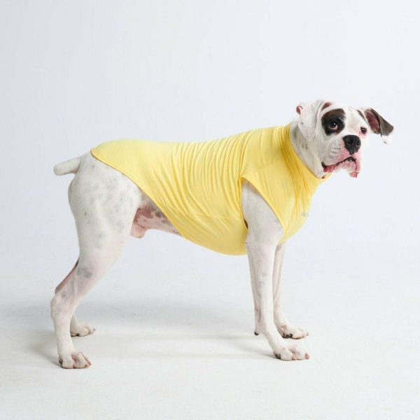 Sunblock Dog T-Shirt – Yellow | Spark Paws Dog T-Shirts Wear Dog T-Shirts