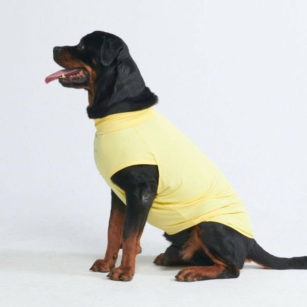 Sunblock Dog T-Shirt – Yellow | Spark Paws Dog T-Shirts Wear Dog T-Shirts