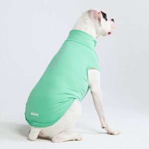 Sunblock Dog T-Shirts | Spark Paws Dog T-Shirts Dog T-Shirts Dog T-Shirts