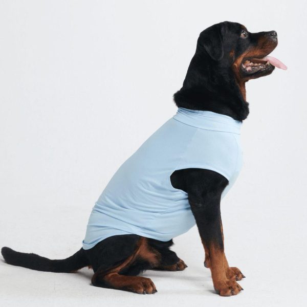 Sunblock Dog T-Shirts | Spark Paws Dog T-Shirts Dog T-Shirts Dog T-Shirts