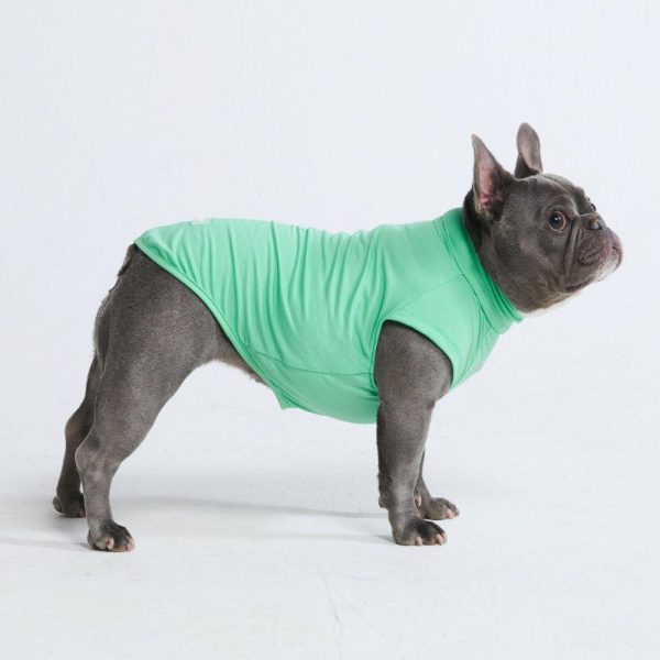 Sunblock Dog T-Shirts | Spark Paws Dog T-Shirts Dog T-Shirts Dog T-Shirts