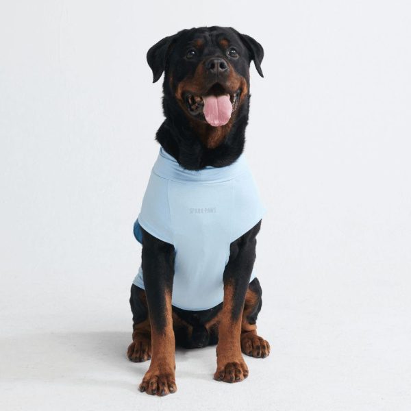 Sunblock Dog T-Shirts | Spark Paws Dog T-Shirts Dog T-Shirts Dog T-Shirts