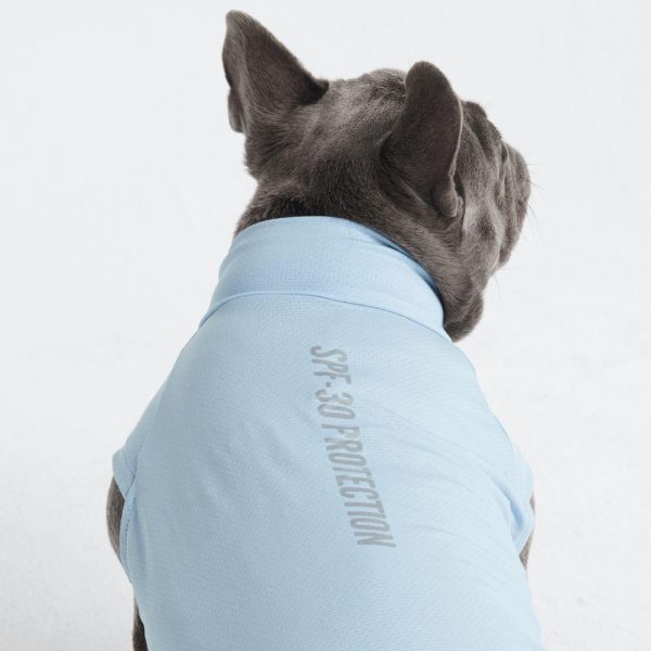 Sunblock Dog T-Shirts | Spark Paws Dog T-Shirts Dog T-Shirts Dog T-Shirts