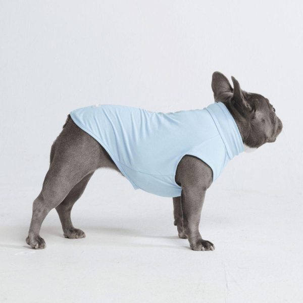 Sunblock Dog T-Shirts | Spark Paws Dog T-Shirts Dog T-Shirts Dog T-Shirts