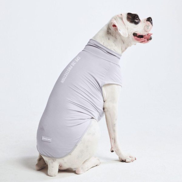 Sunblock Dog T-Shirts | Spark Paws Dog T-Shirts Dog T-Shirts Dog T-Shirts