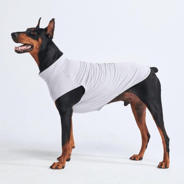 Sunblock Dog T-Shirts | Spark Paws Dog T-Shirts Dog T-Shirts Dog T-Shirts