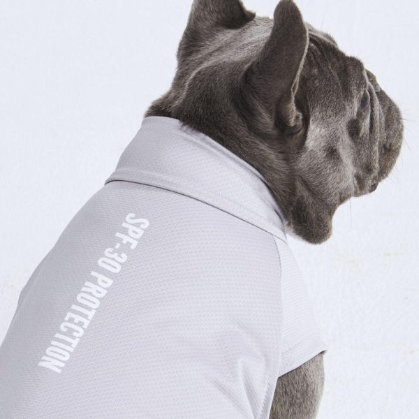 Sunblock Dog T-Shirts | Spark Paws Dog T-Shirts Dog T-Shirts Dog T-Shirts